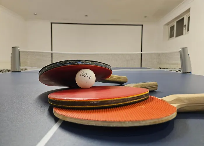 Annexe Pool Table Air Hockey Table Tennis Movie
